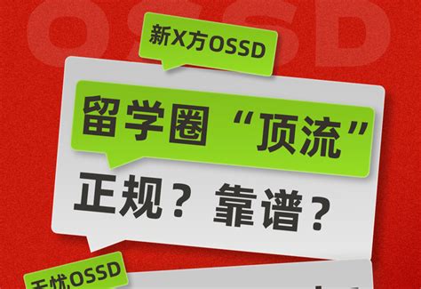 大学排名：一份权威指南，助你做出明智选择