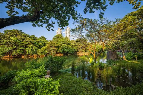 大安森林公園