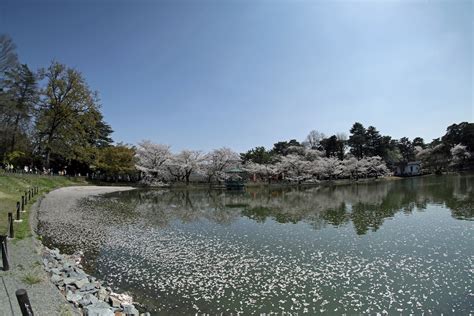 大宮公園