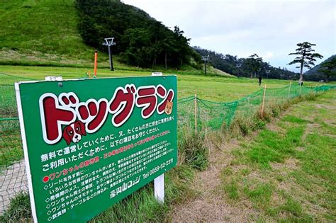 大山ドッグラン：愛犬と自然の中で過ごす快適なひととき