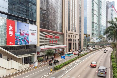 大嶼寵物，盡在掌握：探索香港自然與毛孩相伴的樂趣