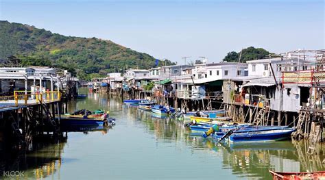 大嶼山寵物友善景點