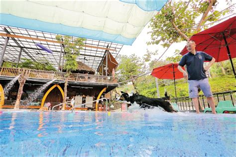 大嶼山寵物樂園：讓毛孩盡情玩樂的綠洲