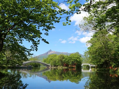 大沼公園：北海道必遊的自然天堂