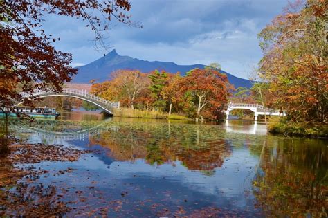 大沼公園：北海道最美湖泊，賞鳥、泛舟、野餐勝地