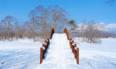 大沼國定公園 冬天