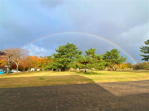 大沼展望閣：絕佳賞鳥勝地，擁抱自然奇觀