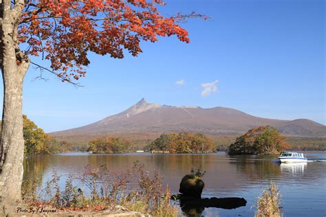 大沼 公園