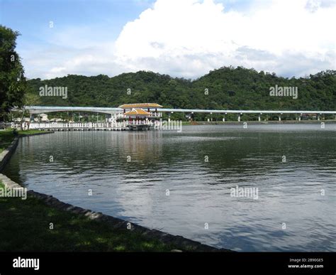 大湖 公園 捷 運