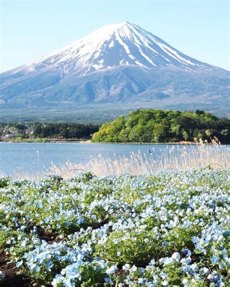 大石 公園 富士山