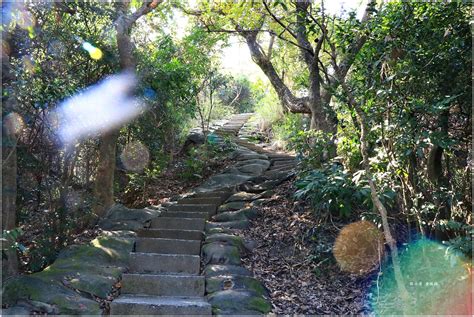 大社 觀音 山 風景 區