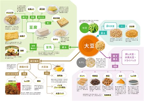 大豆犬のすべて: 歴史、品種、健康と栄養