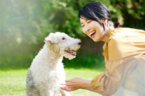 大豆犬：健康で長生きな愛犬のために