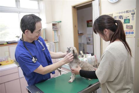 大野 動物 病院