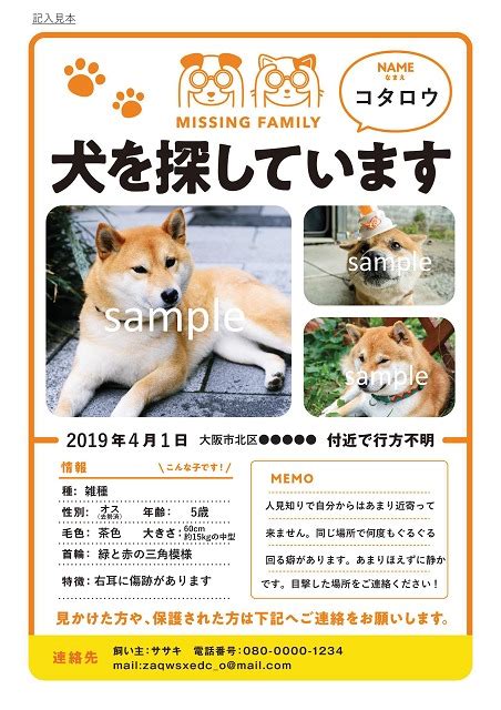 大阪で迷子犬を捜すための完全ガイド