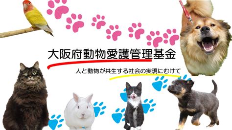 大阪府動物愛護条例