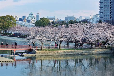 大阪観光の拠点に最適！桜ノ宮東横インで快適な滞在を