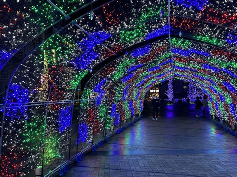 天文館公園，天文與自然的完美邂逅