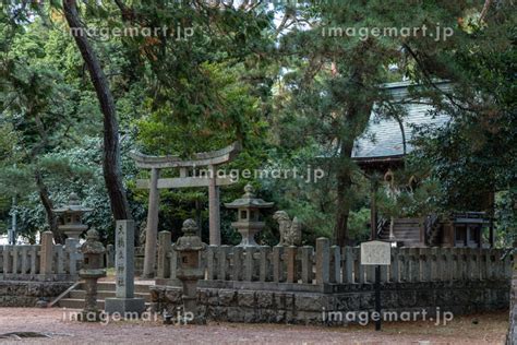 天橋立神社：橫跨日本三景的靈驗神社