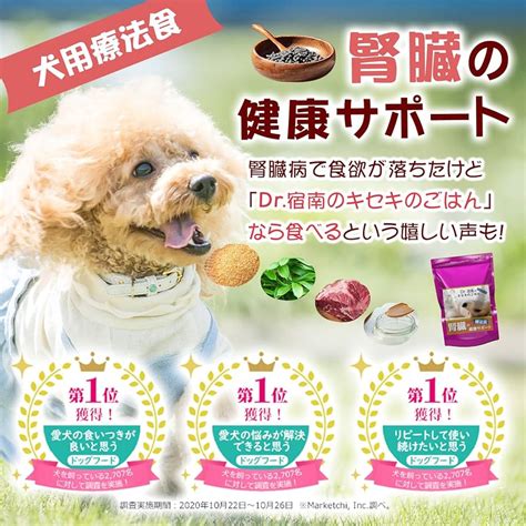 天然フードで犬の健康をサポート！