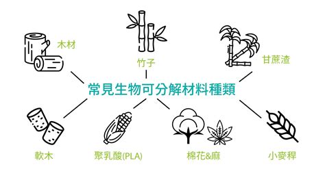 天然環保，可分解