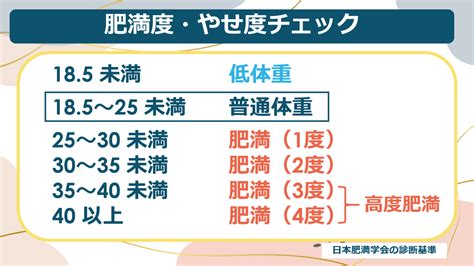 太っちょ猫の総合ガイド: 健康的な体重管理の解決策