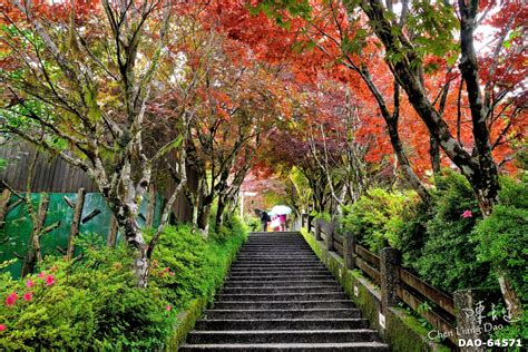 太平山國家森林遊樂區營地：