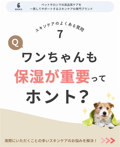 太陽動物病院が提供する一貫したペットケア