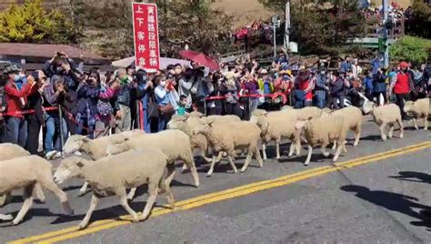 奔羊節：慶祝春回大地，祈求五穀豐登