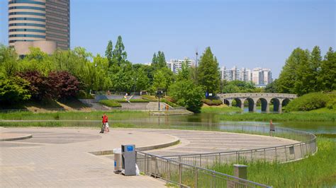 奧林匹克公園 近期活動