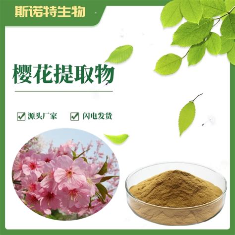 如何使用櫻花提取物？