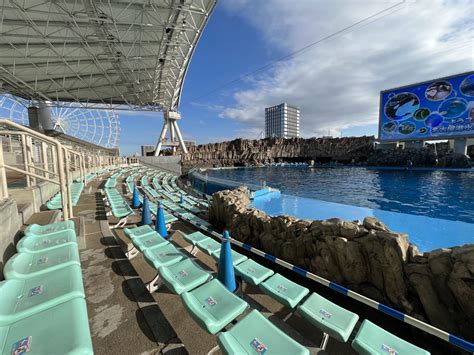 如何前往名古屋水族館？