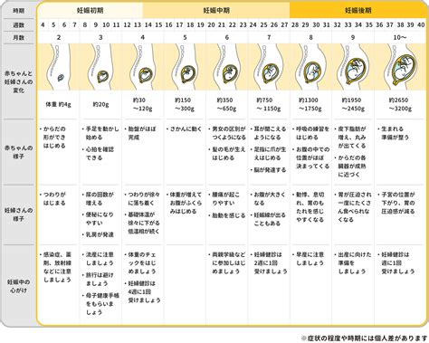 妊娠したサイン：早い段階から見分ける方法