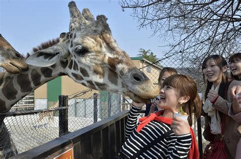 姫路セントラルパークの魅力を徹底解剖！自然とふれあい、冒険心を刺激する体験が満載