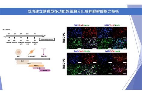 威戈與鼠尾草狗糧評價：優點、缺點和營養成分分析