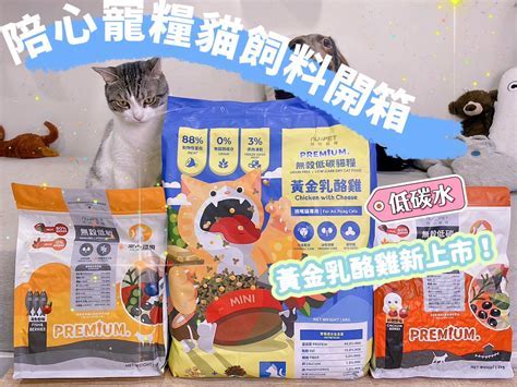 威爾斯寵物飼料：貓咪的健康選擇