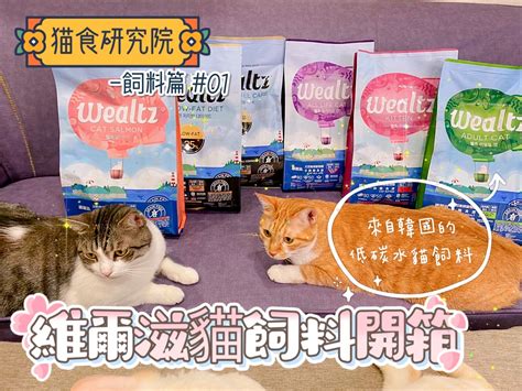 威爾斯貓飼料評價：深入分析，帶給貓咪健康與幸福