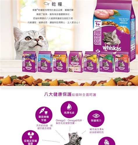 威爾斯貓飼料：全面呵護貓咪健康與幸福的關鍵