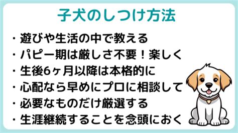 子犬のしつけ: 初心者向けの包括ガイド