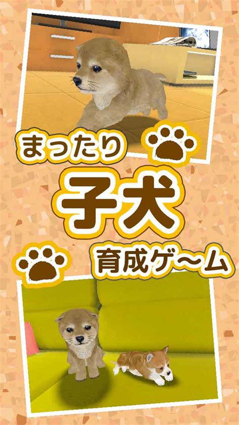 子犬の選定と育成