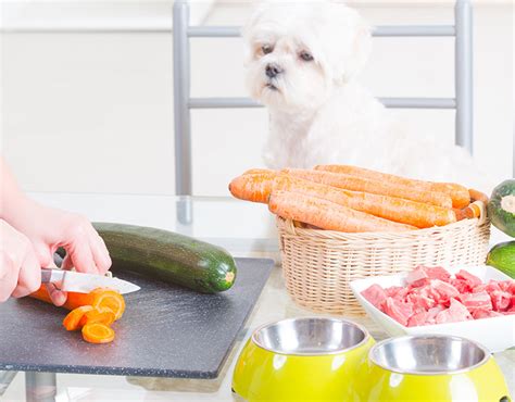 子犬の２ヶ月齢における適切なオヤツの与え方