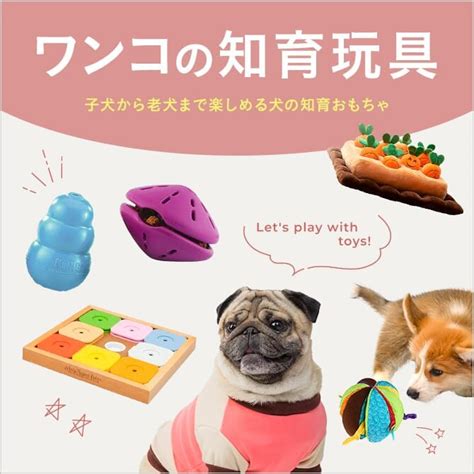 子犬向けおもちゃの選び方