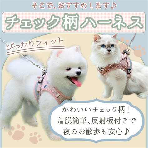 子犬用ハーネスで快適な散歩を！