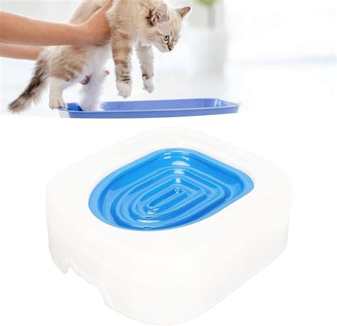 子猫にシステムトイレを教える完全ガイド