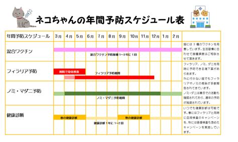 子猫の予防接種スケジュール