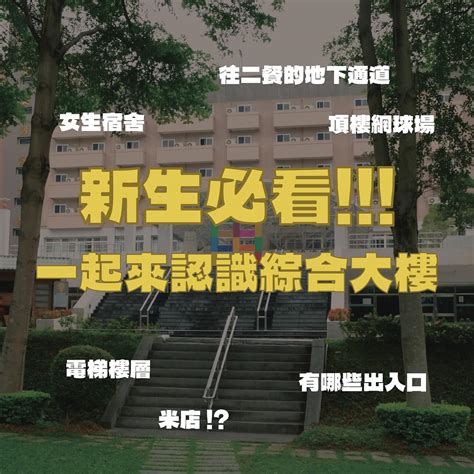 學士學位：通往成功的基石