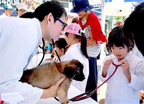 宇都宮動物愛護センター：地域に根ざしたペットの福祉と保護の要