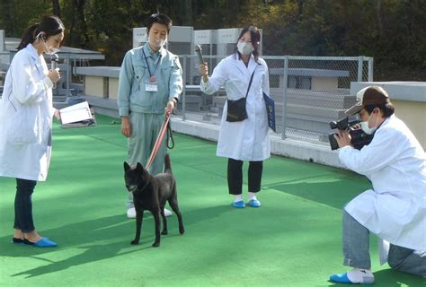 宇都宮愛護センター：ペットの保護と福祉