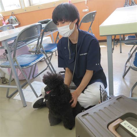 安芸動物病院でペットの健康を守ろう！