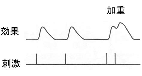 定期的な収縮: